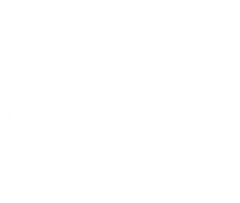 VISHNYA Logo